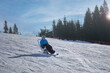 © Alex - A skier in a blue jacket descending a mountain on a sit-ski