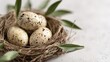 © Anastasiia - Three speckled eggs in a small bird’s nest. Concept Nature Close-Up, Bird Nest, Speckled Eggs, Soft Lighting, Rustic Charm