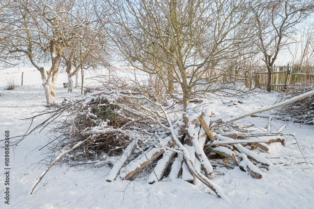 Piles of cut branches after pruning and tidying up the orchard.