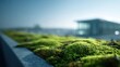 © Vibu design  gallery - Green roof close-up with blurred building