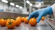 © Lumora - Gloved hand selecting bright orange ripe tomatoes on a modern food processing line