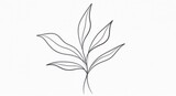 A simple line drawing of a plant with multiple leaves, set against a plain background.