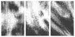 © M2L - Set of three distressed black and white vector grit textures Grunge overlay backgrounds abstract noise and halftone dots