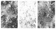© M2L - Trio of Abstract Vector Grunge Textures Distressed Grain and Gritty Overlay Backgrounds Black and White High Contrast