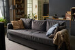 © pressmaster - Empty living room featuring modern gray sofa with assorted pillows and blanket draped over armrest, bookshelf and indoor plants in background, natural daylight illuminating space