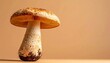 © LOGISTOCK - Single Mushroom on Light Brown Background
