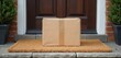 © miss irine - Cardboard package rests on door mat outside a house entrance. A parcel delivery sits on the doorstep by green potted plants and a brown wooden door.