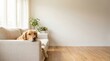 © Isaque Taylor - Relaxed Golden Retriever Dog Resting on Sofa in Bright Modern Living Room
