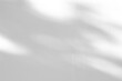 © Kwangmoozaa - Abstract natural tree branch leaves shadow on white wall background