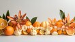© Imtisal - A whimsical design featuring whole and sliced citrus fruits styled as blooming flowers
