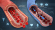 © Moonroad - Artery and vein cross section illustration showing blood flow direction with red blood cells inside vessels, medical concept of circulatory system and cardiovascular health visualization
