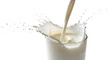 © clairodya - Vibrant stream of fresh, white milk cascading into a glass, creating an invigorating and dynamic splash effect on a pure background
