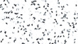 © ImageFlow  - Minimalistic Herd of Bison Pattern on White Background