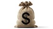 © Dissanayaka - Burlap money bag with Euro symbol isolated PNG, sack of cash on transparent background, financial concept for business and economy