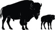 © MdNur - American bison silhouettes with calf, wildlife parent and offspring concept, wild animal family illustration, black vector art isolated on white background