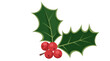 © Rasel - Holly leaves and red berries green isolated on a transparent background