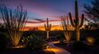 © Canvas Studio - Serene desert landscape bathed in twilight glow and illuminated cacti. arizona front yard