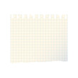 © Ansar45 - Squared Graph Notebook Paper with Torn Spiral Edge Isolated on White