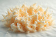 © CreativeAI-2 - a close up of a white coral like substance on a white surface high quality professional detailed modern elegant stylish clean crisp vibrant colorful digital creative