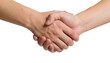 © Abhi - handshake isolated on white background