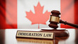 © Creative mind - A gavel and immigration law book in front of a Canadian flag for the concept of Canadian immigration law.