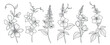© vadymstock - A collection of elegant floral line art illustrations featuring various flowers and plants in a detailed outline style, suitable for botanical design projects