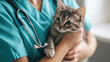 © SK - A veterinarian tenderly holding and examining a kitten. The kitten is looking up with curious and innocent eyes AI Generative
