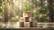© abdul studio - Sustainable E-Commerce Concept with Plant in Shipping Boxes