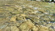 © MdAbu - Crystal clear water gently flowing over smooth, textured river rocks, creating a serene and tranquil natural scene with shimmering light reflections on the surface