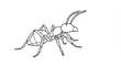© lananh - Clearly defined black outline drawing of an ant with prominent antennae crawling across a pure white surface. AI Generated