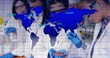 © vectorfusionart - Pipetting team in lab coats handling samples at bench with blue gloves petri pipette map overlay