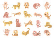 © palau83 - Cute cartoon leopard character set in scandinavian style with spotted wild animal poses for your charming illustration educational design purpose and children themed creative projects