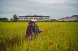 © ArLawKa - Two Asian soil scientists are conducting research using tablets in rice paddies, demonstrating smart farming and modern agricultural technology.