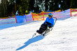 © Alex - A wheelchair user descending a mountain slope on a mono ski