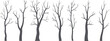 © Kongcon - Minimal collection of bare tree silhouettes with thin leafless branches for winter forest illustration botanical design and nature graphics