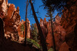 © Bianca Loðbrók/Stocksy - Hiking in Bryce Canyon National Park