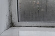 © Olena Vasylieva - Mold infestation covering window corner and interior wall area, mold stains forming dark irregular patterns. Mold development caused by damp environment, long term moisture, housing maintenance issue