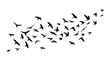 © MdAtaur - Flying bird silhouettes flock in flat vector style isolated on white background for nature wildlife freedom and decorative design use