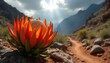 © Vadym - Bright orange protea blooms on rocky mountain trail. Sun rays pierce cloudy sky over dry landscape. Desert flora thrives in harsh terrain under blue sky.