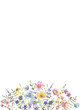 © Larisa - Watercolor wild flowers and leaves, floral frame border for greeting card, invitation and other printing design. Isolated on white. Hand drawing.