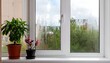 © Jani - Window pane with condensation and plants, showcasing an outdoor view of greenery