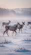 © Борис Петляков - horse in winter