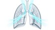 © Pencil - Illustration of Healthy Lungs with Airflow