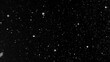 © Lukas Gojda - Freeze motion of natural snow falling on black background
