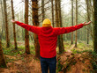 © mark_gusev - A man in a red jacket is standing in a forest and raising his arms in the air. Concept of freedom and joy, as the man is celebrating or expressing happiness. The forest setting adds a natural