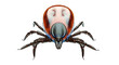 © andramertani - Close-up 3D rendering of a tick