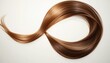 © Ant - Smooth, shiny brown hair arranged in a flowing loop shape on a light background.
