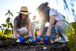 © Ivi - Powerlightss - Women planting flowers and tree seedlings, working on environmental conservation