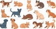 © Galib - Cute cat and dog illustration icon set featuring playful pets, sitting and lying poses, friendly animals, and charming cartoon characters in flat vector style