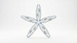 © Tinttrex - A close-up, top-down view of a transparent, five-pointed star-shaped object composed of five individual, elongated, pod-like segments, each containing multiple small, granular elements